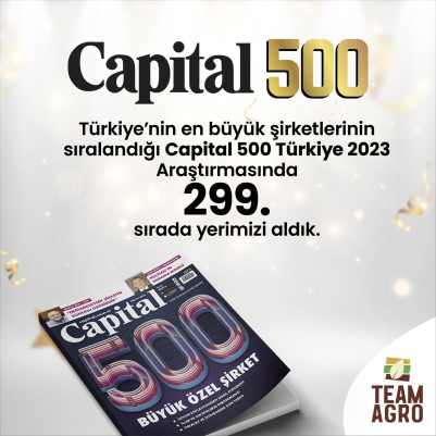 Capital 500 Araştırmasında 299. Sıradaki Yerimizi Aldık
