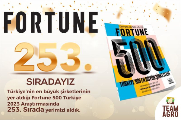 Fortune 500 Araştırmasında 2023 Yılında 253. Sıradayız 